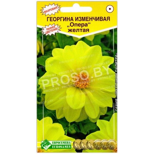 Георгина Опера желтая