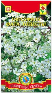 Гипсофила Фата невесты