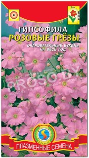 Гипсофила Розовые грезы