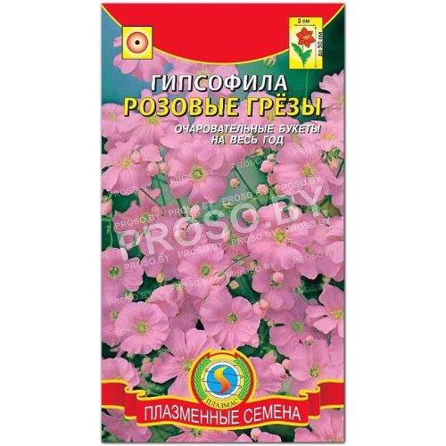 Гипсофила Розовые грезы