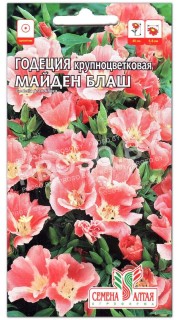 Годеция Майден Блаш