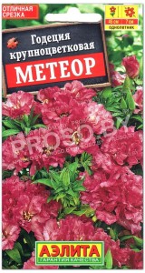 Годеция крупноцветковая Метеор