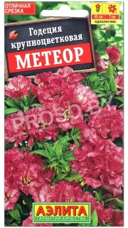 Годеция крупноцветковая Метеор