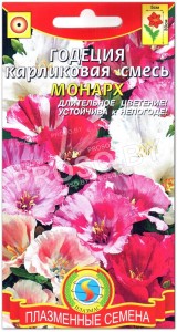 Годеция Монарх, карликовая смесь