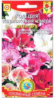 Годеция Монарх, карликовая смесь
