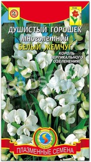 Душистый горошек Белый жемчуг, многолетний
