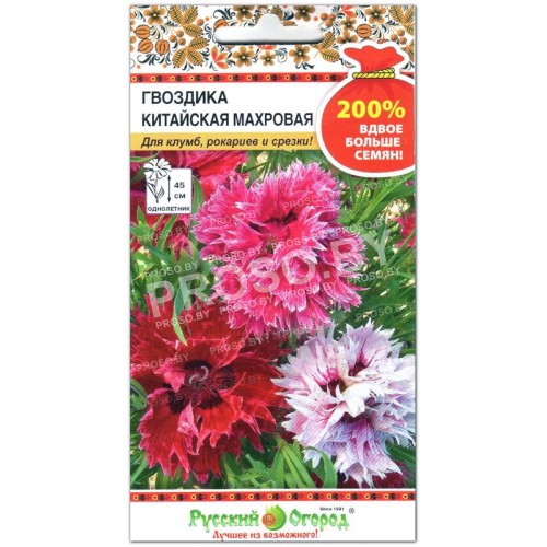 Гвоздика Китайская махровая, смесь