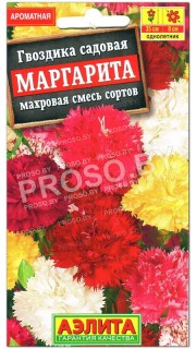 Гвоздика садовая Маргарита, смесь