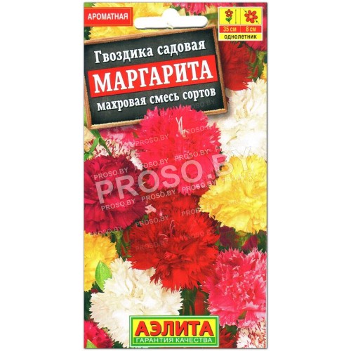 Гвоздика садовая Маргарита, смесь