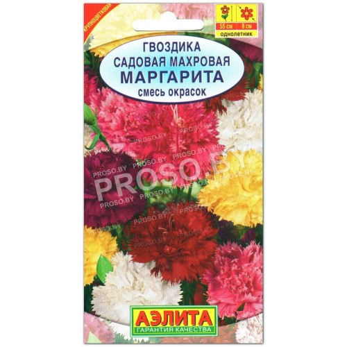 Гвоздика садовая Маргарита, смесь-1