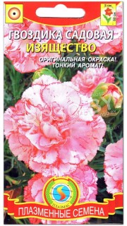 Гвоздика садовая Изящество