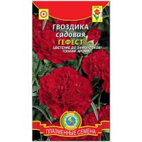 Гвоздика садовая Гефест