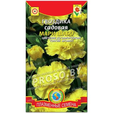 Гвоздика садовая Мария Шабо