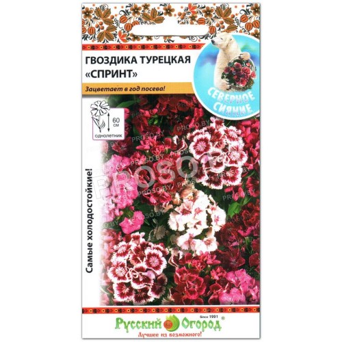 Гвоздика Спринт