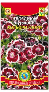 Гвоздика турецкая Холборн глори