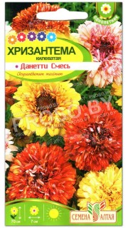 Хризантема Данетти килеватая, смесь
