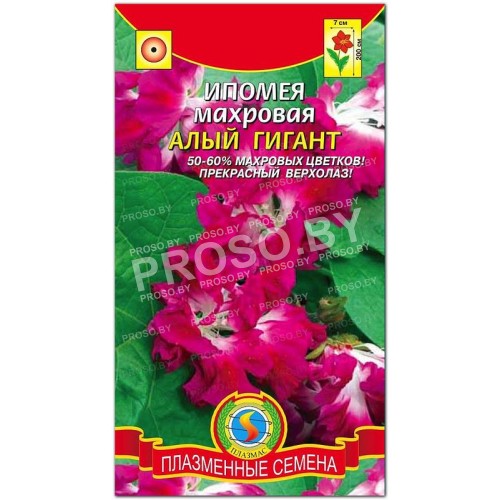 Ипомея махровая Алый гигант