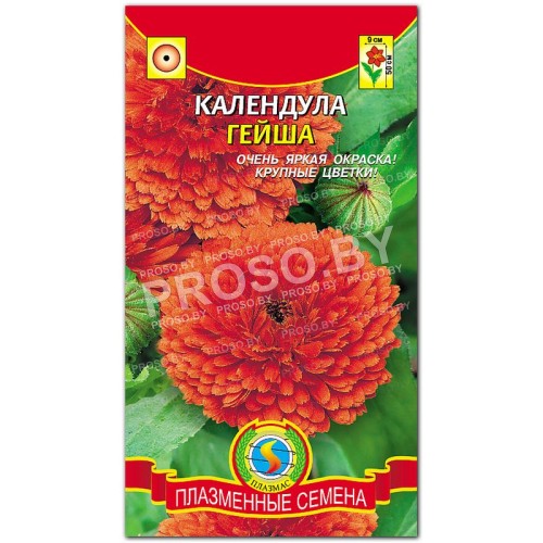 Календула Гейша-1