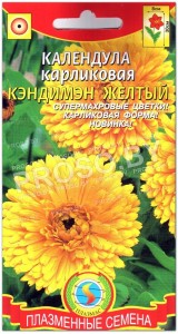 Календула карликовая Кэндимэн желтый
