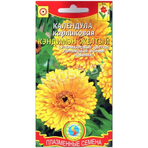 Календула карликовая Кэндимэн желтый