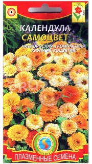 Календула Самоцвет