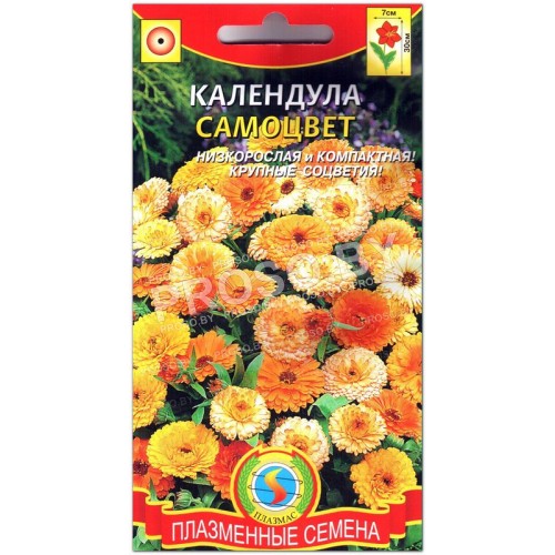 Календула Самоцвет