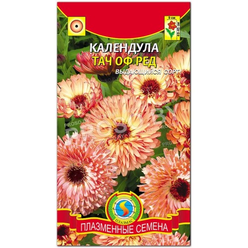 Календула Тач оф ред