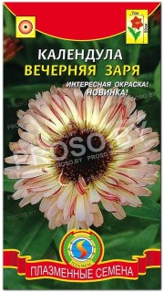Календула Вечерняя заря