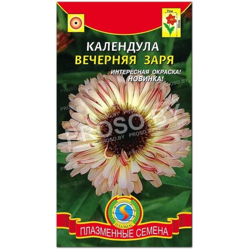 Календула Вечерняя заря