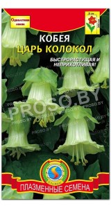 Кобея Царь колокол