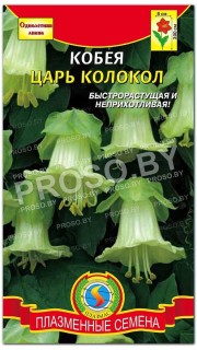 Кобея Царь колокол