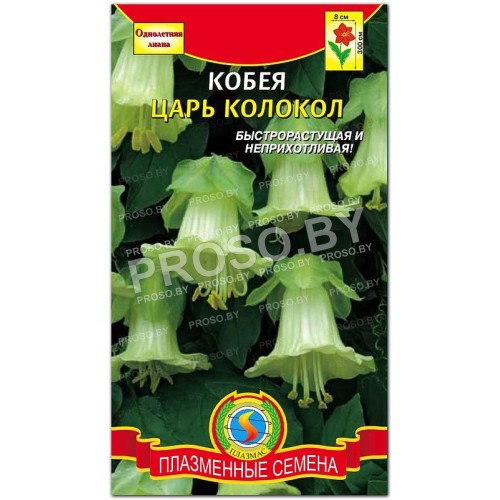 Кобея Царь колокол