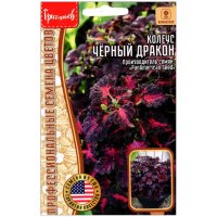 Колеус Черный (блэк) дракон