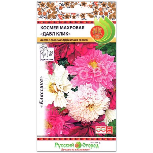 Космея махровая Дабл клик