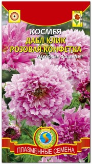 Космея Дабл клик Розовая конфетка