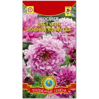 Космея Дабл клик Розовая конфетка
