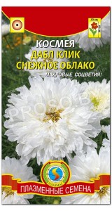 Космея Дабл клик Снежное облако