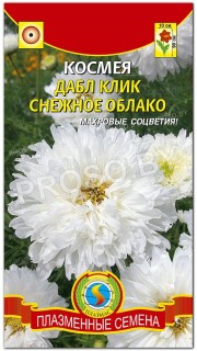 Космея Дабл клик Снежное облако