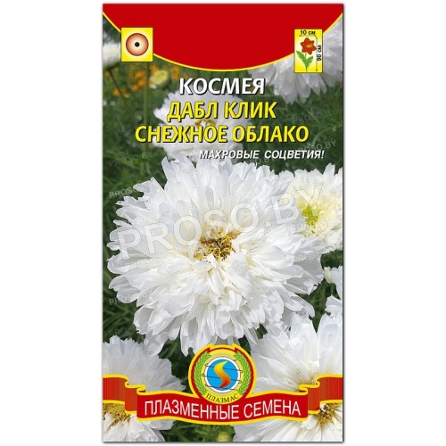Космея Дабл клик Снежное облако