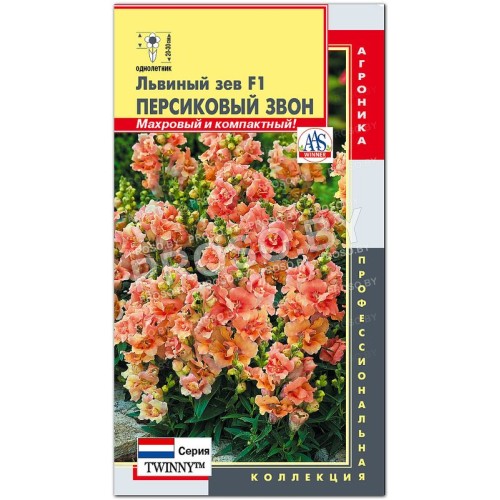 Львиный зев Персиковый звон F1, серия TWINNY