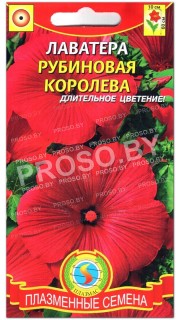 Лаватера Рубиновая королева