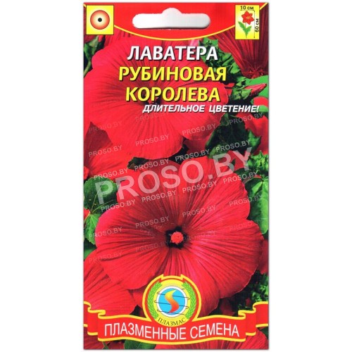 Лаватера Рубиновая королева