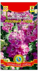 Левкой низкорослый Розовый гном