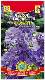 Левкой низкорослый Лазурит