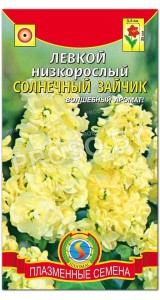 Левкой низкорослый Солнечный зайчик