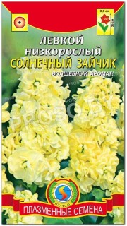 Левкой низкорослый Солнечный зайчик