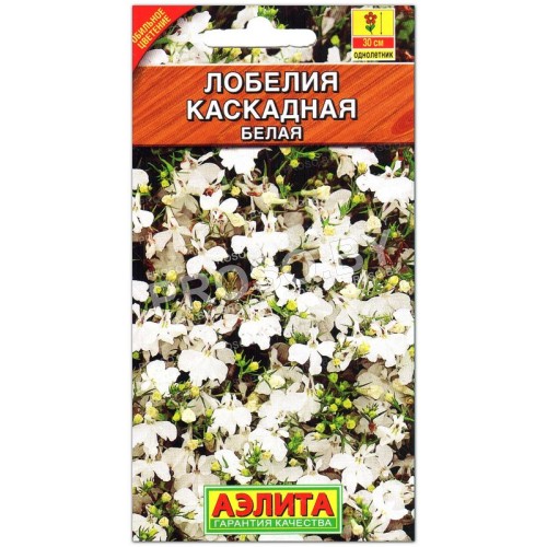 Лобелия Каскадная белая