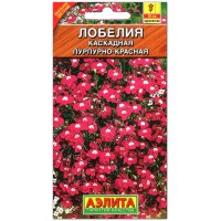 Лобелия Каскадная пурпурно-красная