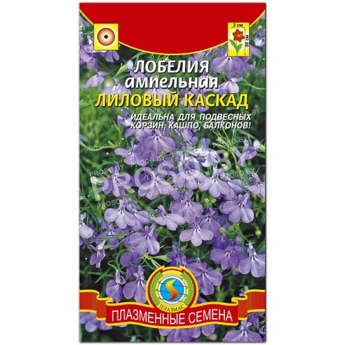 Лобелия ампельная Лиловый каскад