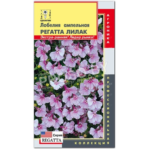 Лобелия ампельная Регатта лилак